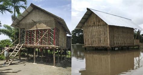 How Indigenous Traditional Bamboo Houses Are Saving Lives In Flood ...