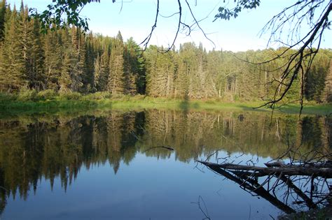 Escape To The Enchanting Shores Of Van Riper State Park: Your Michigan ...