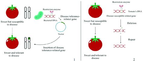 Genetic Engineering 的图像结果