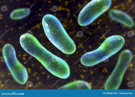 Bacteria Coxiella Burnetii Which Cause Q Fever Inside Human Cell Royalty-Free Cartoon ...