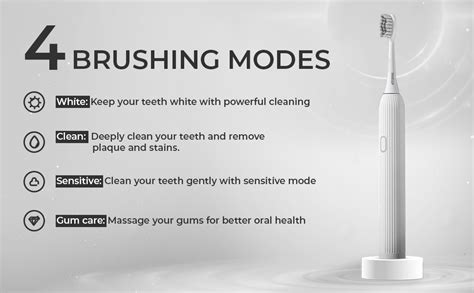 beatXP Ionic Electric Toothbrush for Adults with 2 Brush Heads & 4 ...