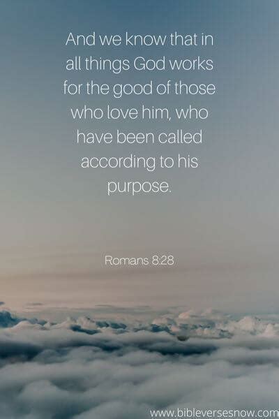 Scriptures with St and Focus 的图像结果