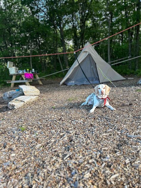 100 Mile View Camping, Jim Thorpe - Hipcamp in Jim Thorpe, Pennsylvania