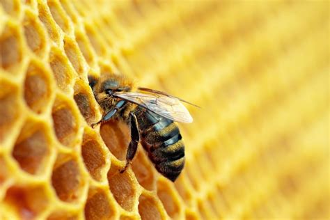 Image result for Geometric Pattern Names