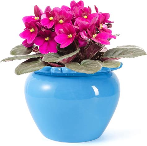 Amazon.com: Fayoula Self Watering Plant Pot, 6 Inch African Violet Pots ...