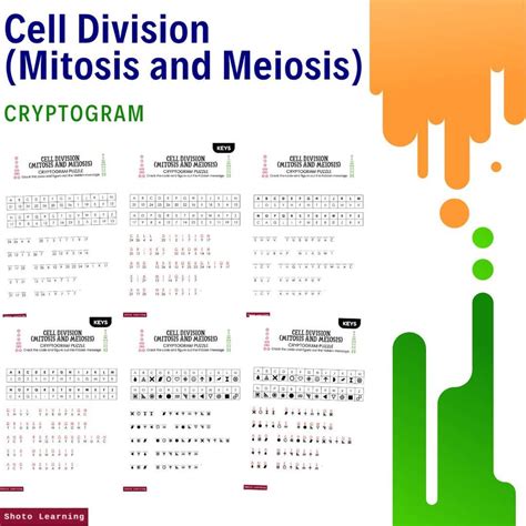 Image result for Cell Division Process