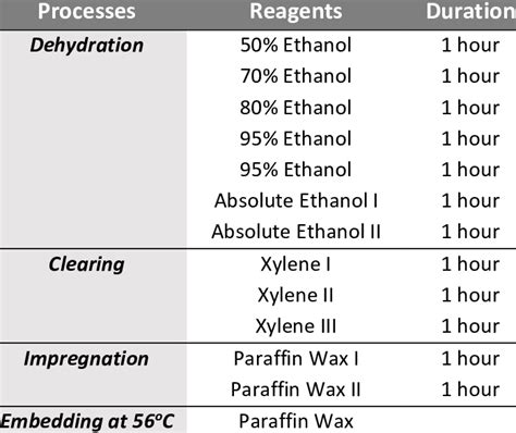 Tissue Processing Protocol 的图像结果
