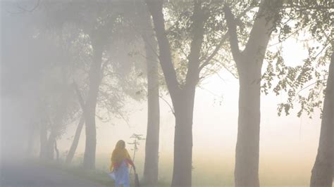 Fog Alert: इन 9 राज्यों में घने कोहरे की संभावना, अगले 24 घंटे के मौसम ...