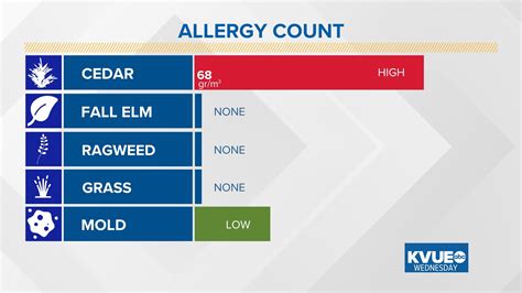 Austin allergy forecast: Cedar spikes again ahead of 2024 | kvue.com
