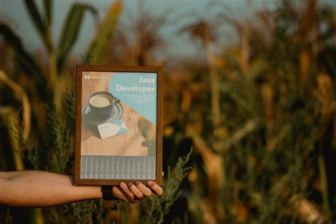 Image result for Java Full-Stack Statistics