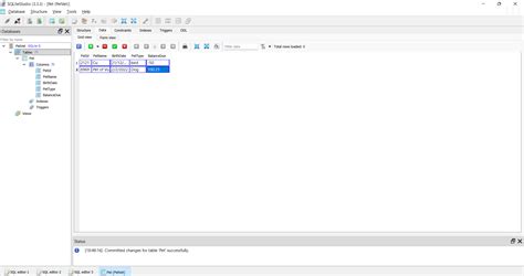 Image result for Create New Database in SQLiteStudio