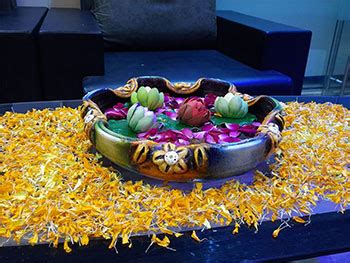 About Shine Infosoft | Web App Development Services in India