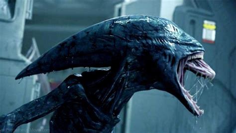 The ultimate guide to all Xenomorph types in Alien movies | LSA India