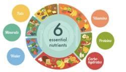 Sources of Nutrients and Deficiency diseases - Famous Books for UPSC ...