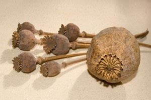 Heroin - A Comprehensive Guide