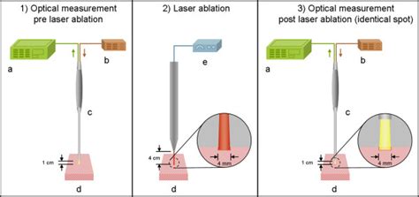 Image result for Diffuse Reflectance Probe