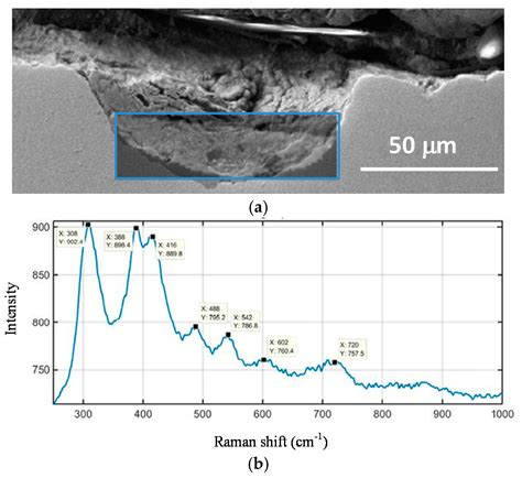 Marine Atmospheric Corrosion of Carbon Steel: A Review