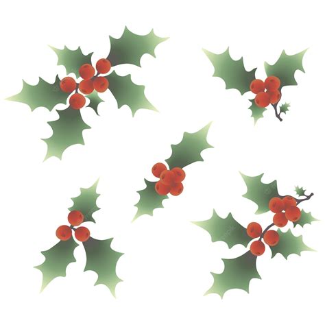 Free Holly Leaves, Download Free Holly Leaves png images, Free ClipArts ...