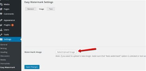 How to add a watermark to images in WordPress and to protect them from ...