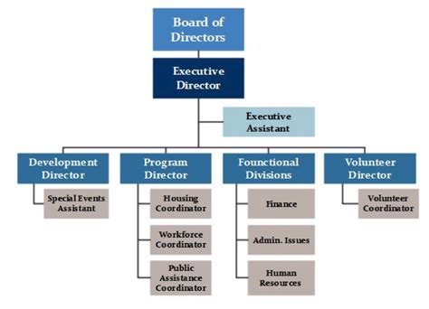 Non-Profit Organization Structure Chart 的图像结果