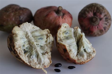 Red Custard Apple, Annona Reticulata Cherimoya | Eureka Farms