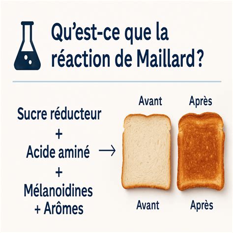 Qu'est-ce que la réaction de Maillard en cuisine