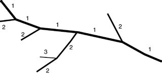 Image result for Stream Order Explained