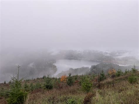 Beautiful Triangle lake. : r/Eugene