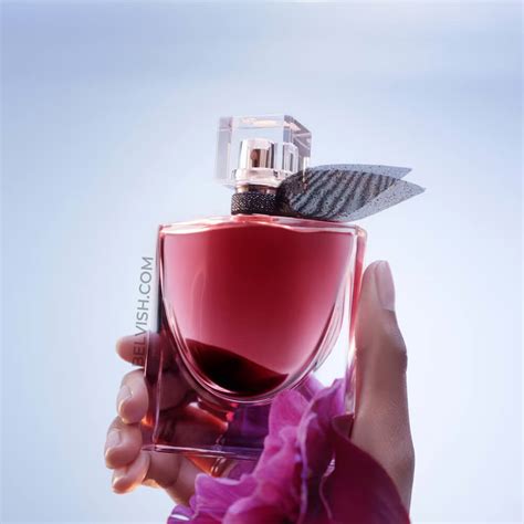 Belvish.com - Buy Best Perfumes Online for Men and Women In India