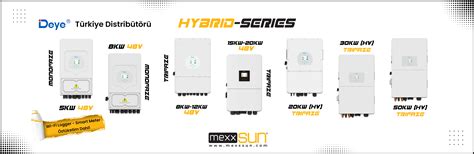 Homepage [www.mexxsun.com]