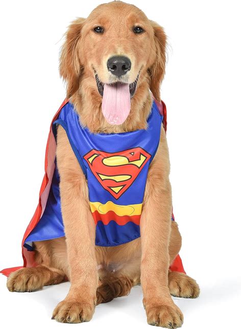 DC Comics Superhero Superman Halloween Costume for Dogs, Medium ...
