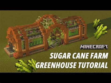 Image result for Aesthetic Mob Farm Java