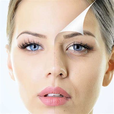 Shea Butter Online Wholesale Supplier & Manufacturer in India – VedaOils