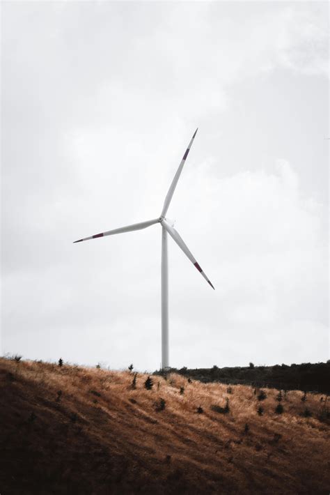 Image result for Sky Texture