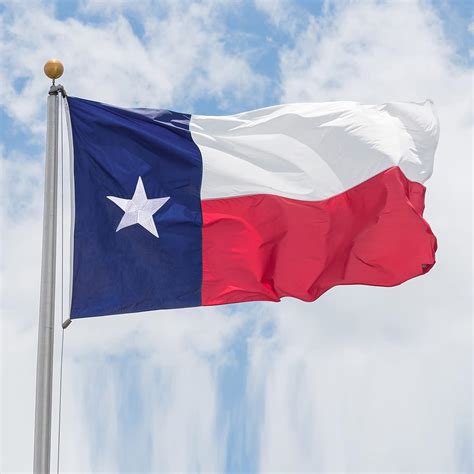 ANNDONES Heavy Duty 4x6 Outdoor Texas Flag with Embroidered India | Ubuy