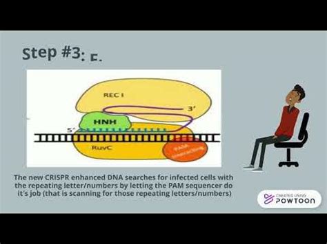 Image result for CRISPR Tutorial