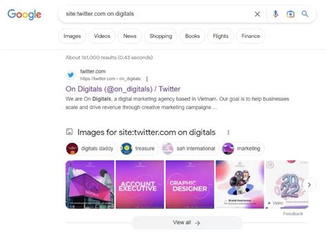 Image result for Advanced Searchers Google