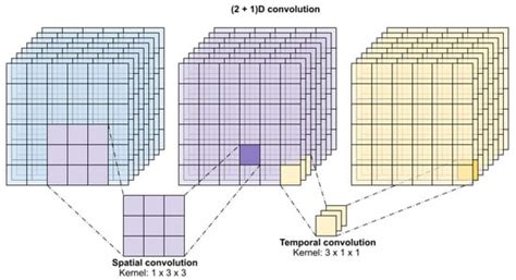 Enhanced U-Net for Infant Brain MRI Segmentation: A (2+1)D ...