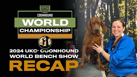 2024 UKC Coonhound World Bench Show Recap - YouTube