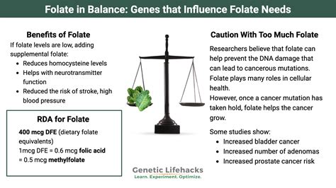 How Not Getting Enough Folate Affects Your Energy And Health
