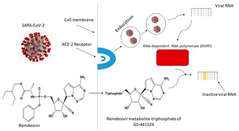 Remdesivir—Bringing Hope for COVID-19 Treatment