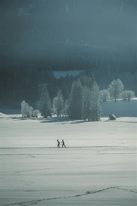 Landscape Computer Desktop 的图像结果