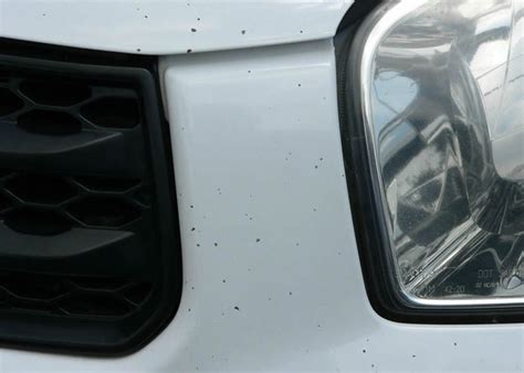 Image result for Dr. ColorChip Reviews