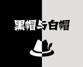 黑帽seo和白帽seo的优缺点 的图像结果