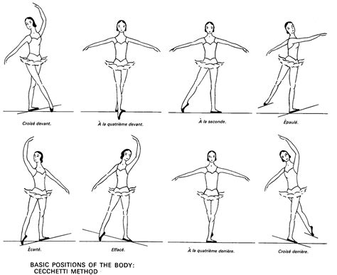 Basic Positions of the Body Cecchetti Method | Ballet positions, Ballet ...