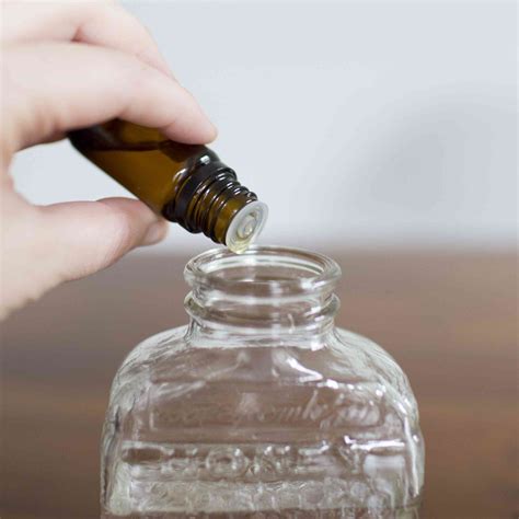 Image result for Homemade Diffuser Solution