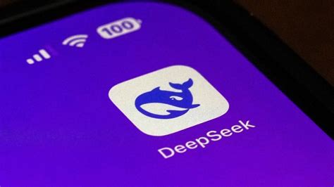 India to host DeepSeek on local servers to tackle privacy concerns: IT ...