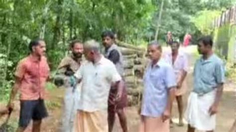 CPM workers allegedly attack forest officers who came to probe tree ...
