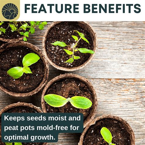 Biodegradable Seedling Starting Tray - Peat Pots | SunVara