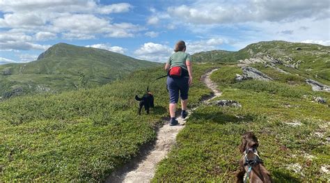 HAGLEBU CAMPING (Eggedal) - Campground Reviews, Photos, Rate Comparison ...